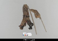 藏品(中國湖北皮影戲偶身)的圖片